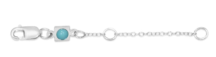 2” Necklace Extender - Silver - Molly + Kate