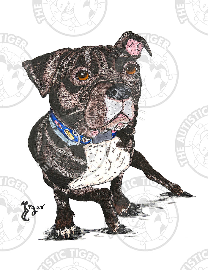 Art Print - M02 Pit Bull - Pet Portrait