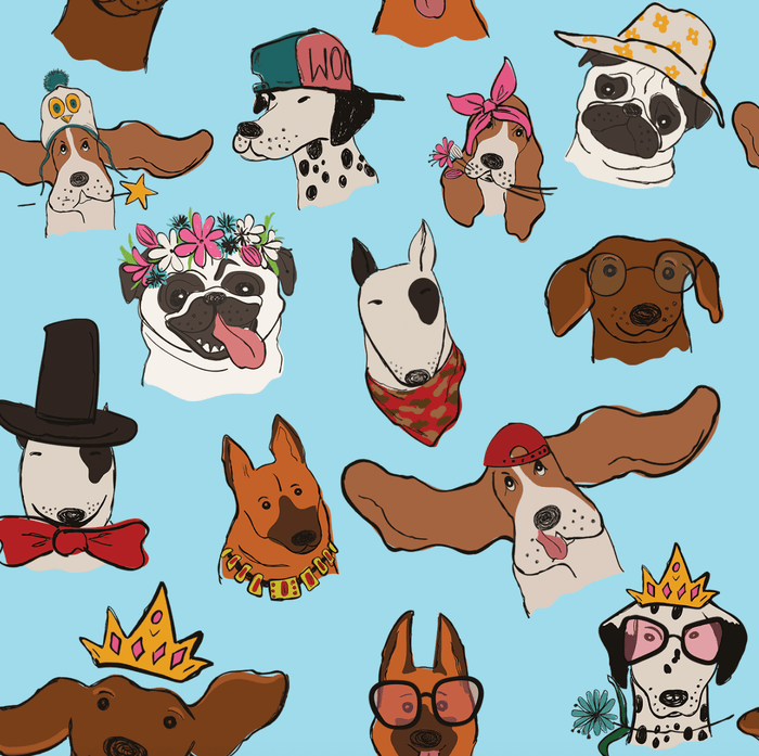 Can I Pet That Dog Pair & A Spare Socks