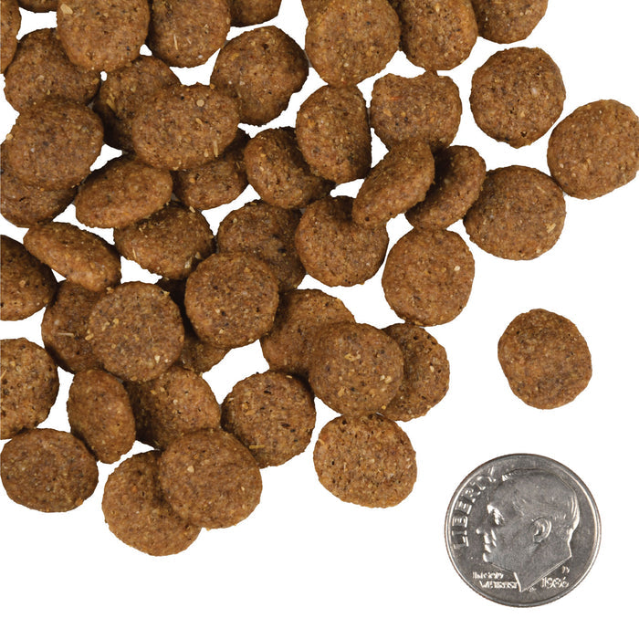 Fromm Gold Dry Dog Food -Senior Reduced Activities - Dog.Dog.Cat.