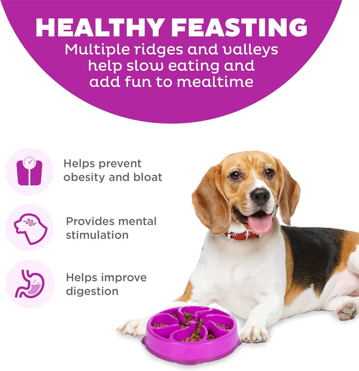 Outward Hound Fun Feeder Interactive Dog Bowl for Slow Feeding and Mealtime Enrichment - Dog.Dog.Cat.
