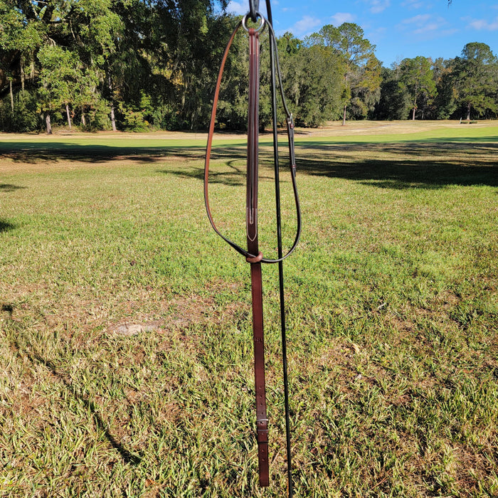 The In Gate Running Martingale - The In Gate