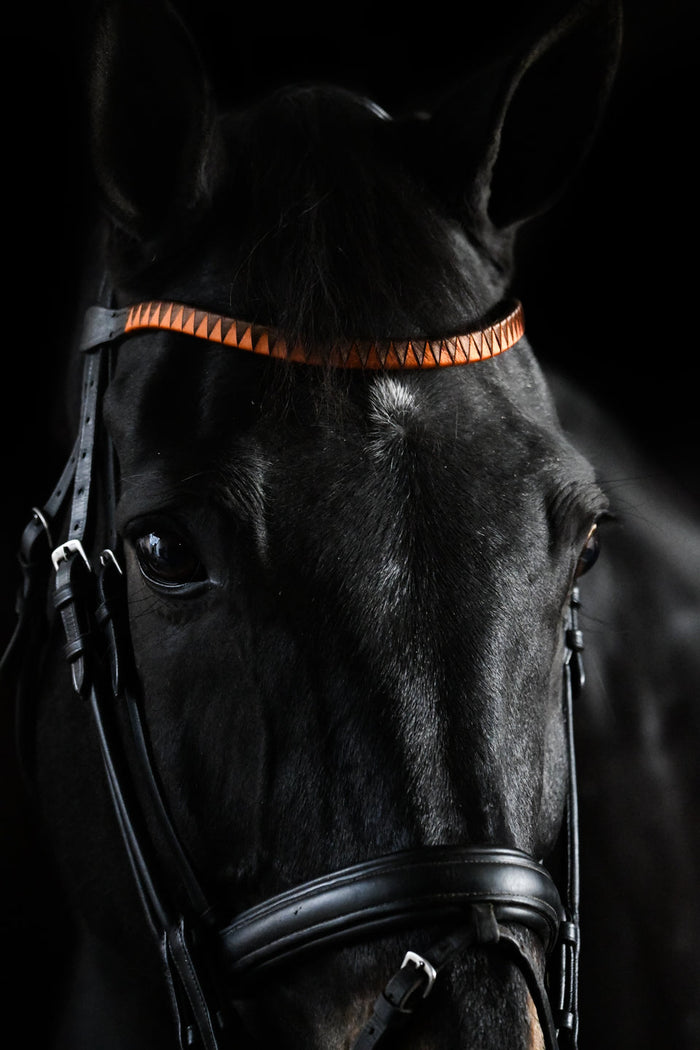 VEZZA Browbands -Wavy (Dressage)