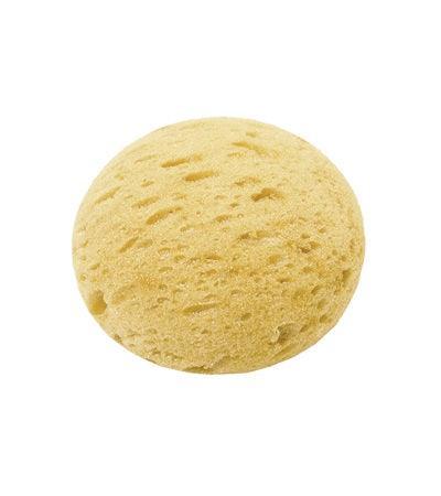 4" Synthetic Tack Sponge - The In Gate