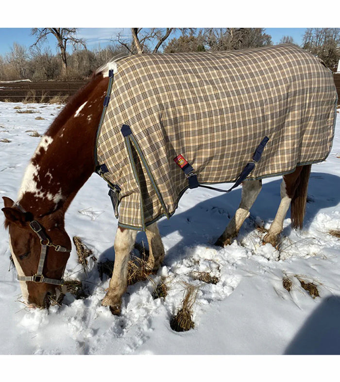5/A Baker® Medium Weight Turnout Blanket 200 Gram - The In Gate