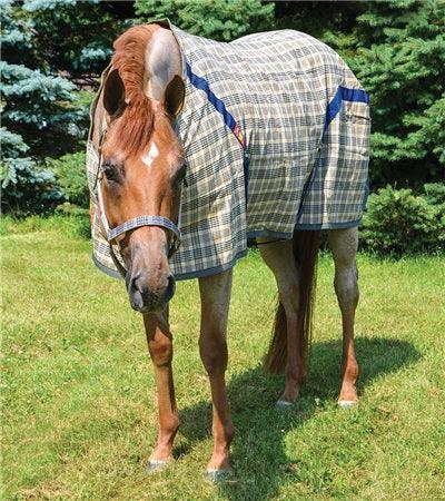 5/A Baker® Stable Sheet - The In Gate