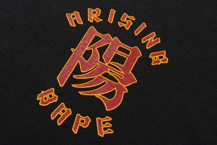 A RISING BAPE L/S TEE
