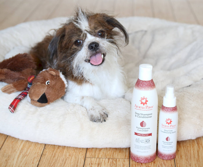 Aroma Paws - 13.5 Oz. Shampoo Pomegranate Cucumber - Dog.Dog.Cat.