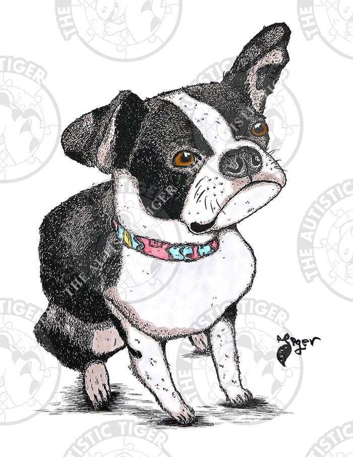 Art Print - M01 - Boston Terrier - Pet Portrait