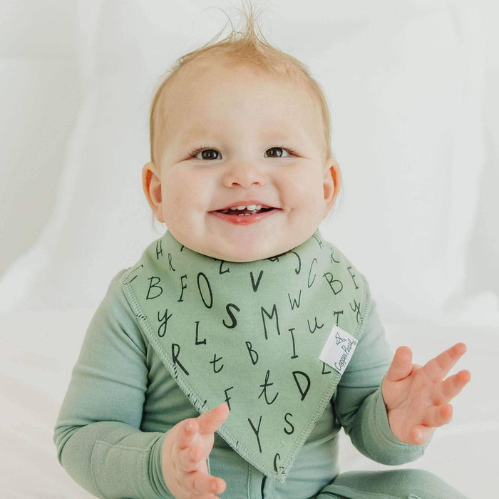 Baby Bandana Bibs - Chip
