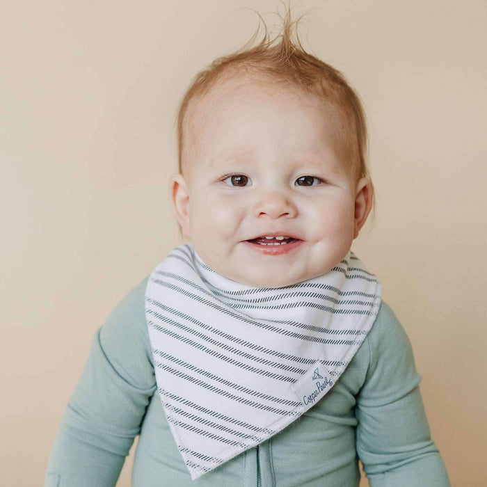 Baby Bandana Bibs - Chip