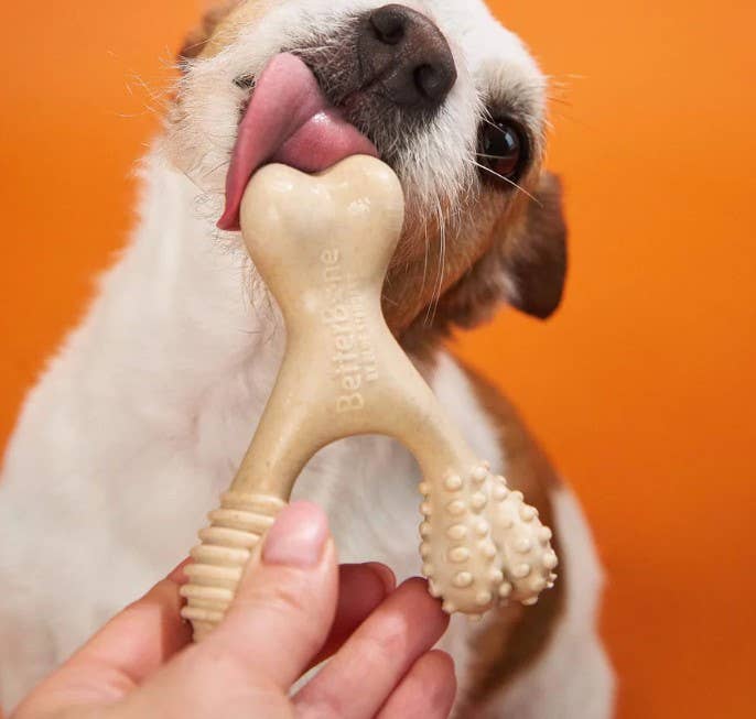 BetterBone Medium Beef Dog Chew Toy for Dogs – Durable and Engaging Chew Toy - Dog.Dog.Cat.