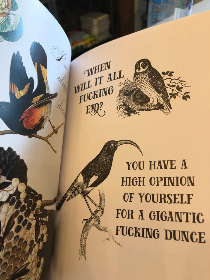 Owl, When will it all end?