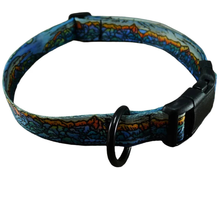Bridger Dog Collar and Leash - Dog.Dog.Cat.
