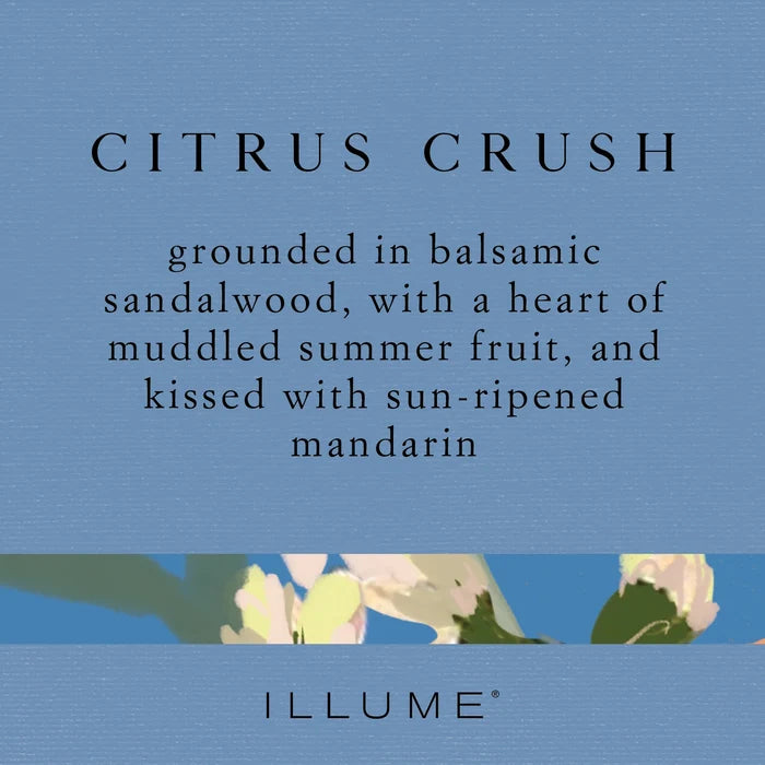 Citrus Crush Hand Soap - Molly + Kate