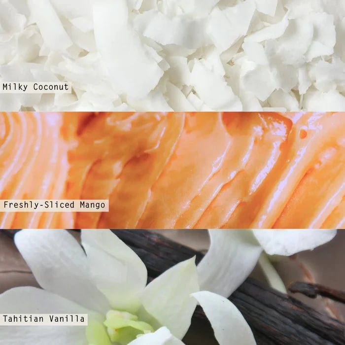 Coconut Milk Mango Hand Soap - Molly + Kate