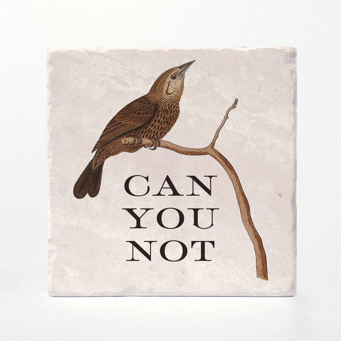 Effin' Birds Coaster- Can You Not