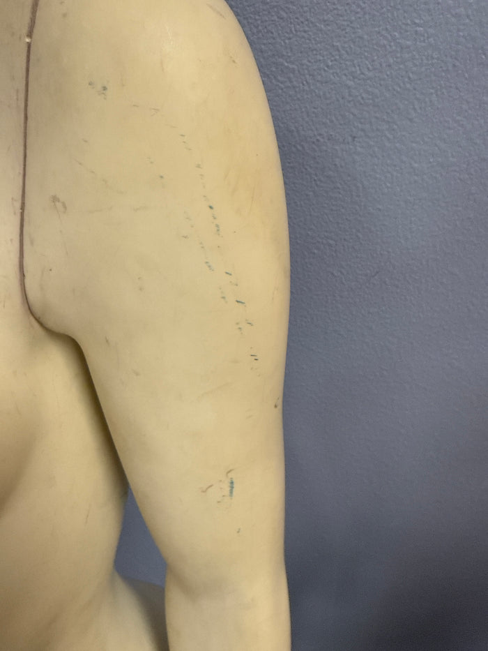 Female Headless Torso Mannequin