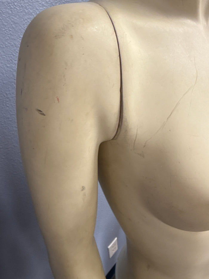 Female Headless Torso Mannequin