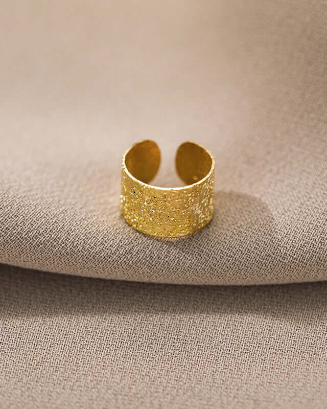 Five-Piece Ear Bone Clips Set stacked together for a trendy look