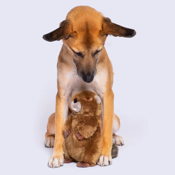 Fluff and Tuff Dog Toy- Troy the Beaver - Dog.Dog.Cat.