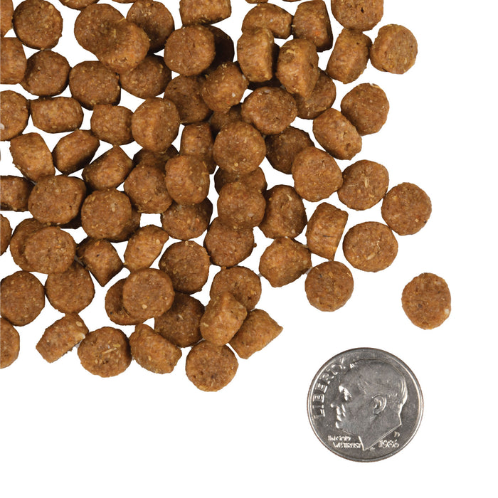 Fromm Gold Dry Dog Food-Puppy : - Dog.Dog.Cat.
