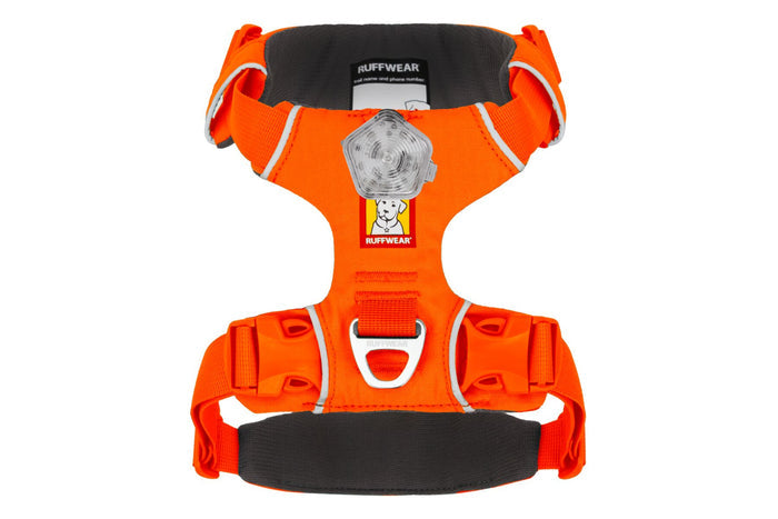 Blaze Orange / Large/X-Large