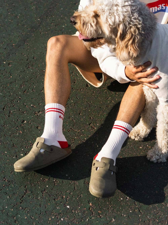 Good Thomas - Dog Friendly Sock - Red - Dog.Dog.Cat.