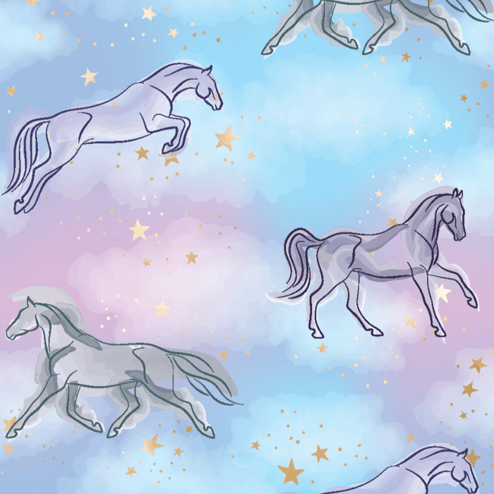 Horsey Dreams Pair & A Spare Socks