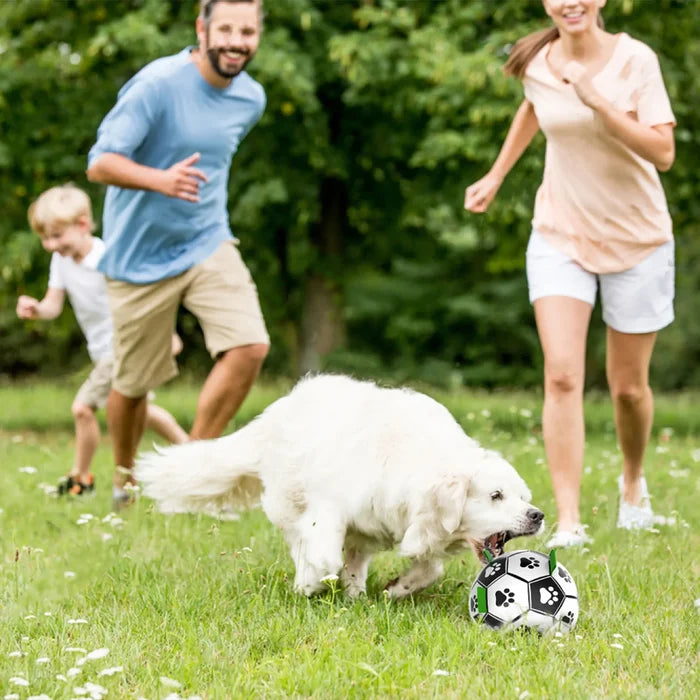 Dog Soccer Ball Toy with Tabs includes Free Pump Glow in the Dark or Standard in two sizes - Dog.Dog.Cat.