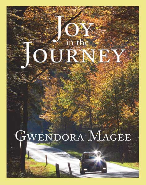 Joy in the Journey