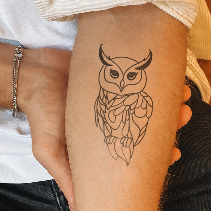 Kleine Eule Tattoo ☀️