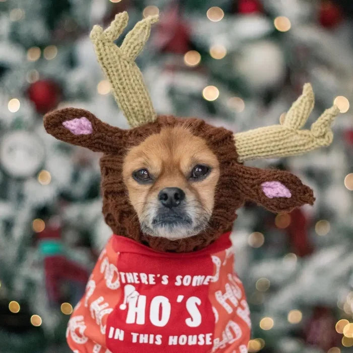Knitted Dog Hat for Dogs - Dog.Dog.Cat.