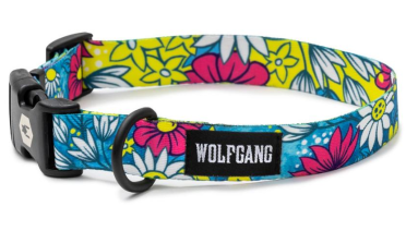 LazyDaisy Dog Collar - Dog.Dog.Cat.