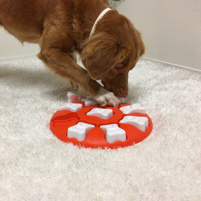 Nina Ottoson Dog Smart Interactive Dog Puzzle Toy - Dog.Dog.Cat.