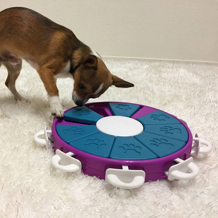 Nina Ottosson Dog Twister Interactive Dog Puzzle Toy Purple - Dog.Dog.Cat.