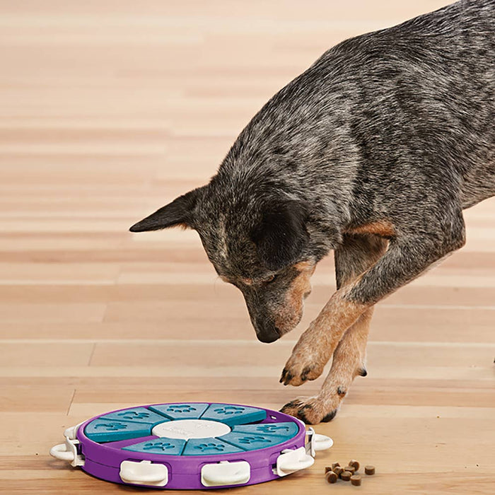 Nina Ottosson Dog Twister Interactive Dog Puzzle Toy Purple - Dog.Dog.Cat.