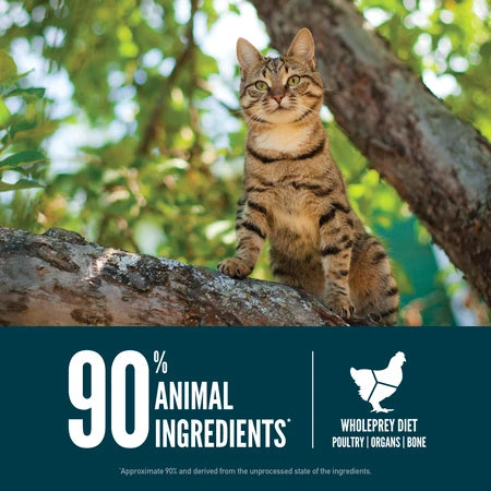 Orijen Dry Cat Food USA-Guardian 8 - Dog.Dog.Cat.