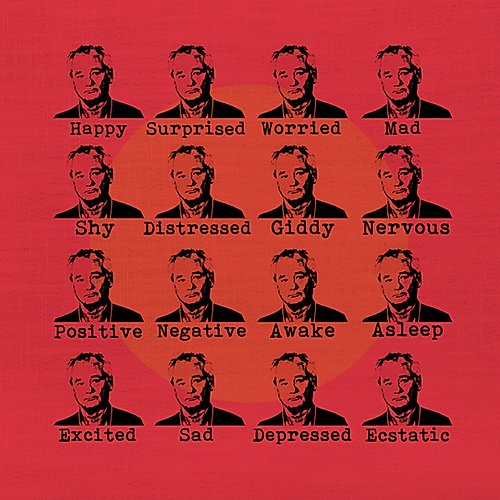 Bill Murray Expressions Pillow Reverse