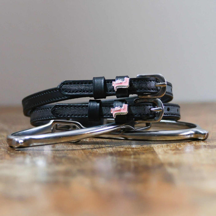 Pink Dinosaur Spur Straps