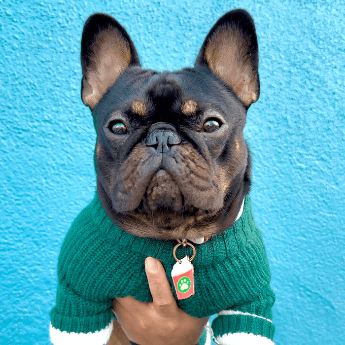 Pup Cup Pet ID Tag - Dog.Dog.Cat.