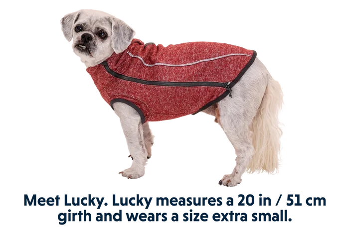 Ruffwear Hemp Hound Sweater - Fired Brick & Helio Purple - Dog.Dog.Cat.