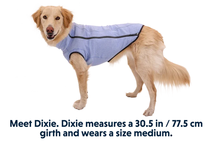Ruffwear Hemp Hound Sweater - Fired Brick & Helio Purple - Dog.Dog.Cat.