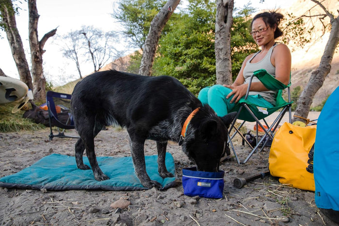 RuffWear Quencher Travel Dog Bowl - Dog.Dog.Cat.