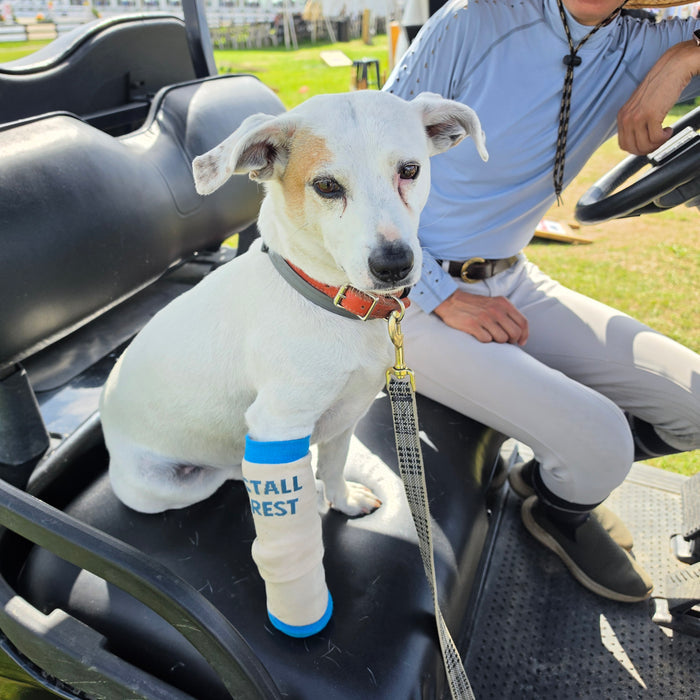Stall Rest New Crew Socks