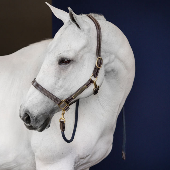 The In Gate New Standard™ Leather Halter