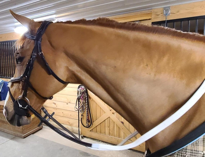 The In Gate Rubber Reins in Brown or White - The In Gate