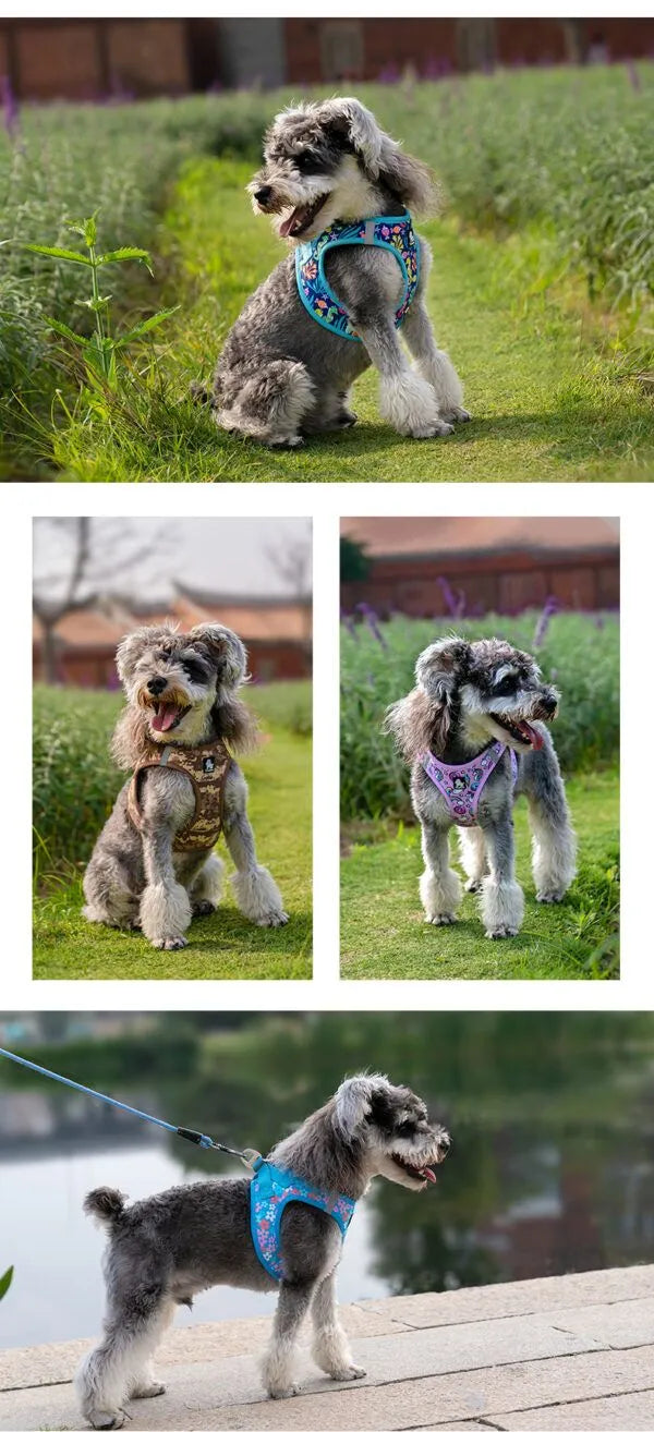 TrueLove Floral Print Mesh Dog Harness TLH3016- Blue Atoll - Dog.Dog.Cat.