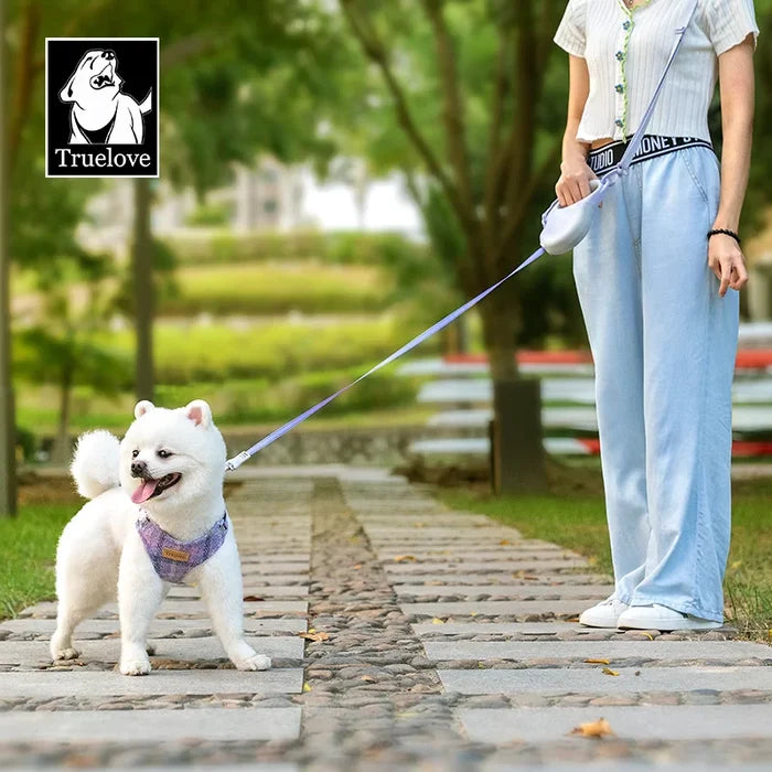 TrueLove Retractable Dog Leash TLL5001 - Suitable for Medium and Small Dogs - Fuchsia/Angel Blue - Dog.Dog.Cat.