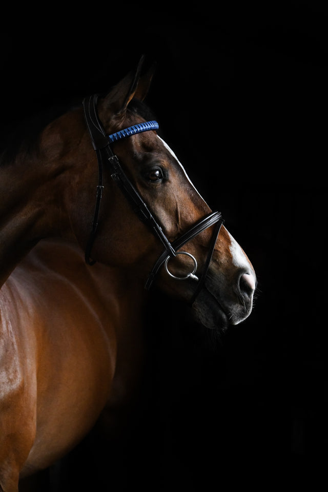 VEZZA Browbands - Standard Peak Design
